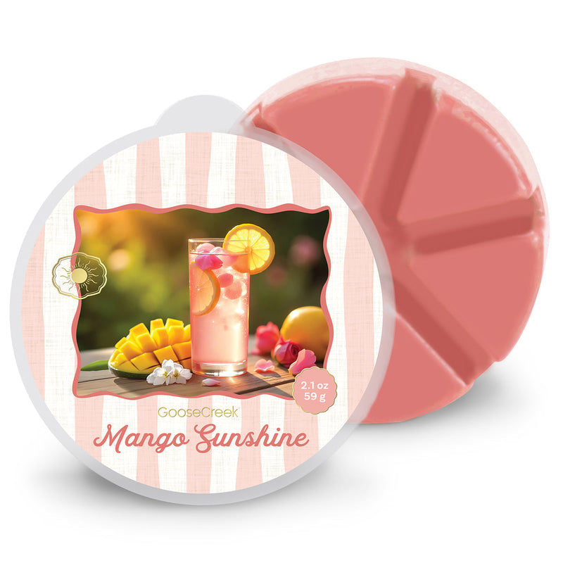 Mango Sunshine Wax Melt Studio 2-0634